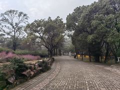 -虞山风景区