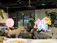 -百好乐宠物友好餐厅(朝外大街店)