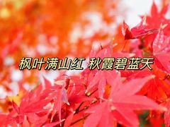 -秋霞圃
