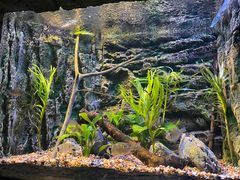 -上海海洋水族馆