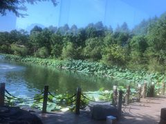 -上海怡沁园度假酒店