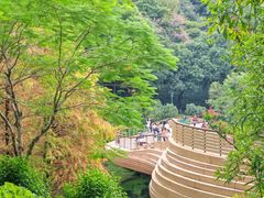 -云溪植物园