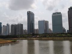 -万绿园