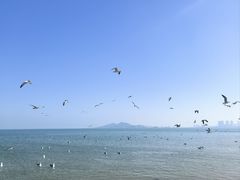 -养马岛旅游度假区