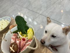 -柴犬小屋·柴餐厅·狗咖食堂(金鼎广场店)