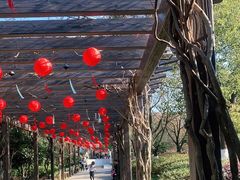 -白马涧龙池景区