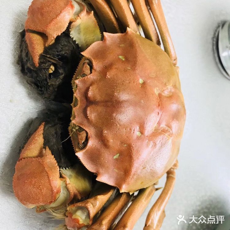 六七两的黄浦江大闸蟹可好吃😋呢！