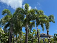 -三亚西岛海洋文化旅游区