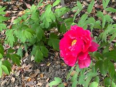 -江南大学(蠡湖校区)