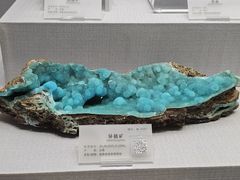 -湖南省地质博物馆