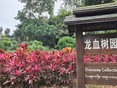 -中国科学院西双版纳热带植物园