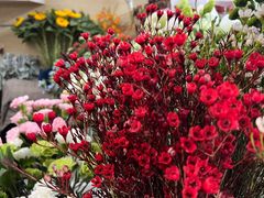 -亭亭鲜花店(中山北路店)