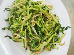 炒豆苗-明记烧鱼美味店
