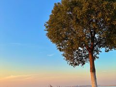 -祝甸砖窑文化馆