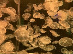 -多彩贵州城极地海洋世界