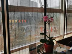 -青岛海尔洲际酒店