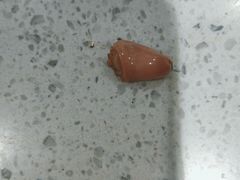 -自然之声助听器·呼吸机(贵定店)