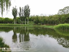 -大兴滨河森林公园