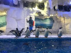 -华夏文旅西安度假区