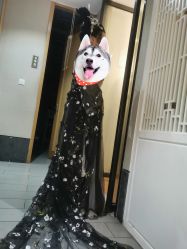 -盘子女人坊古装写真摄影(厦门总店)