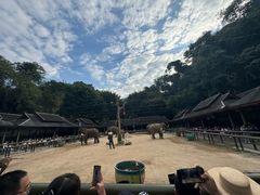 -野象谷景区