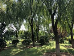 -燕郊植物园