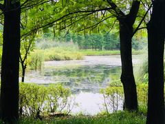 -贵阳市花溪国家城市湿地公园