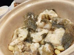 -阿锋鲍鱼酒家美食汇(华安店)