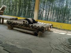 -杭州野生动物世界