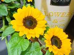 -何兮花店·气球派对鲜花店(马桥银春路万科城店)
