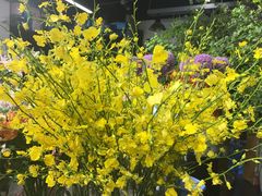 -双季花艺园艺市场(浦东店)