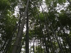 -陶祖圣境风景区