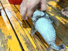 -蓝湾碧波·老字号·疍家非遗海上餐厅