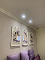 -SILKTONE诗丽堂美容