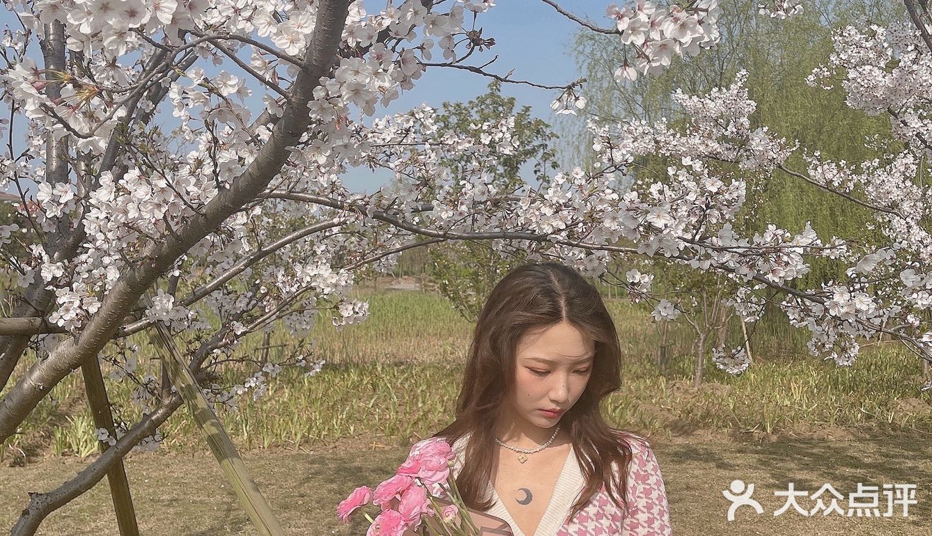 🌸苏州樱花打卡