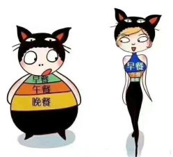 -香薇妮丝·定制减肥·身材管理