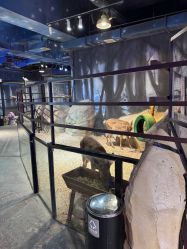 -酷嗒动物文化乐园(cutezoo西溪乐天城店)