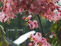 -四海公园(南山区)