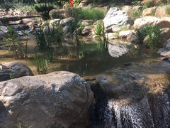 -水池山公园