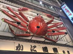 -蟹道乐(道顿堀本店)