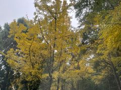 -金堂县云顶石城风景区