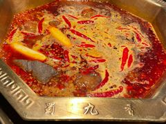 -蜀九香火锅(李家沱店)