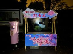 -南汇桃花村