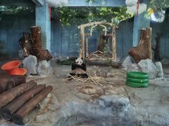 -海南热带野生动植物园