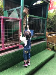 -可可天空农场(中大店)