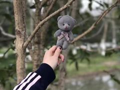 -合肥滨湖国家森林公园