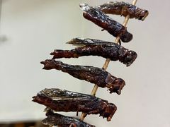 -小寒羊烧烤(凯瑞时代大厦店)