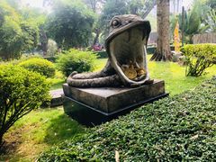 -晓港公园