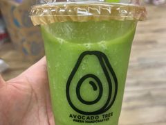 -油梨树AVOCADO TREE(嘉里中心店)