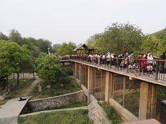 -石家庄市动物园